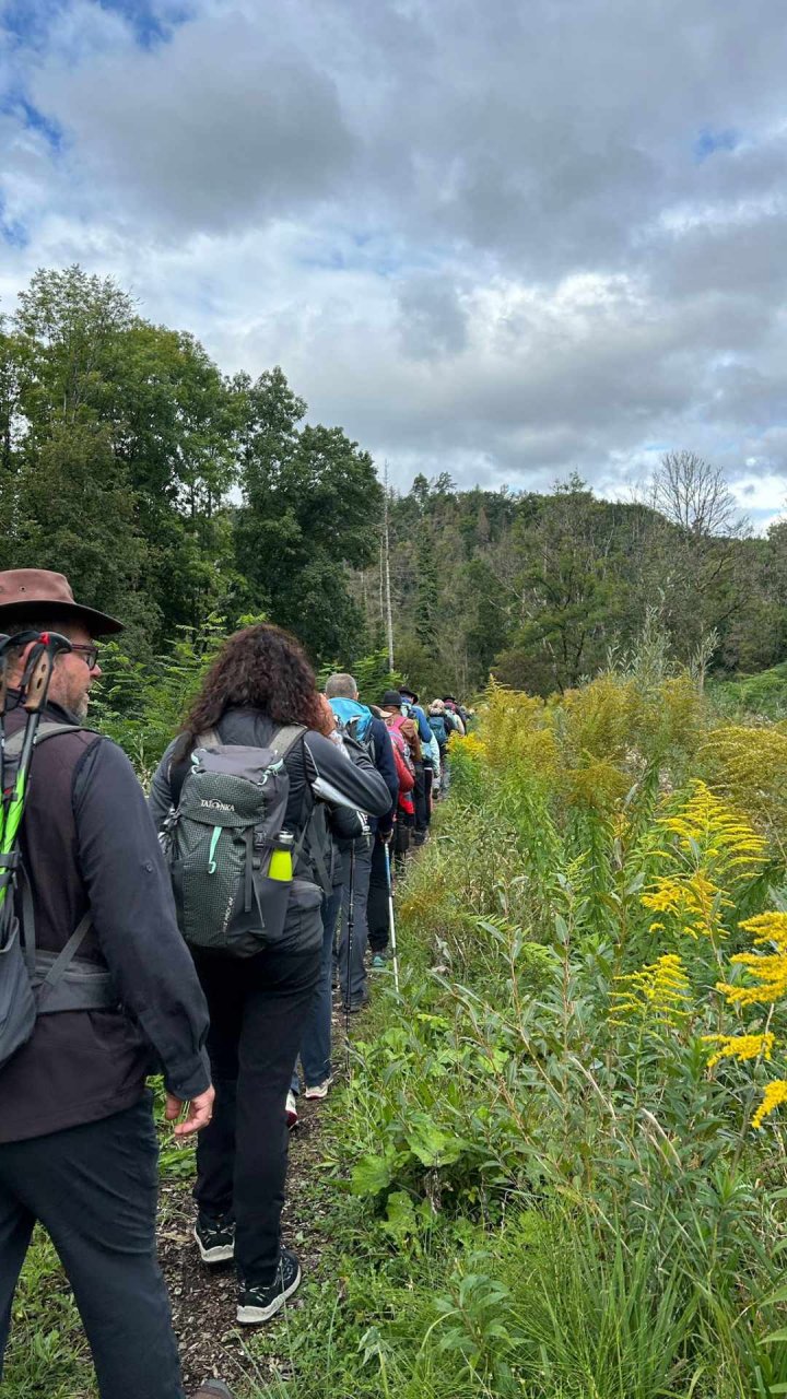 	14 3 Tage auf dem Schluchtensteig im Südschwarzwald
